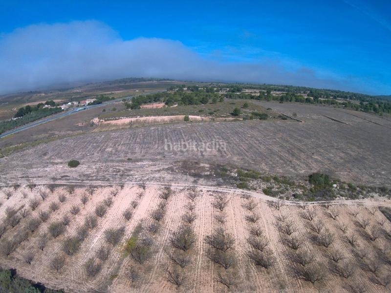 Foto d060bf98-b822-4890-9e03-a66de96f2a7a. Finca rústica a Yecla