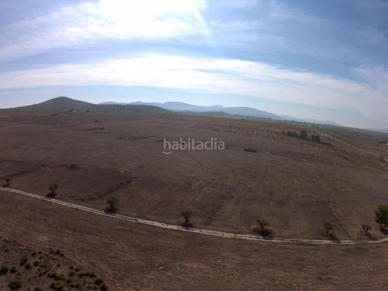 Foto eedb89fb-b030-40b5-8665-98246c29ca16. Finca rústica a Yecla