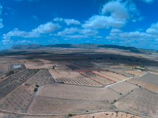 Rural plot in Yecla. Parcela urbanizable con agua 7.715 m en paraje las gamellejas ye