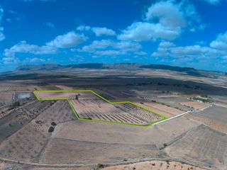 Fondo rustico in Yecla. Parcela urbanizable con agua 56.083 m2 paraje las gamellejas yec