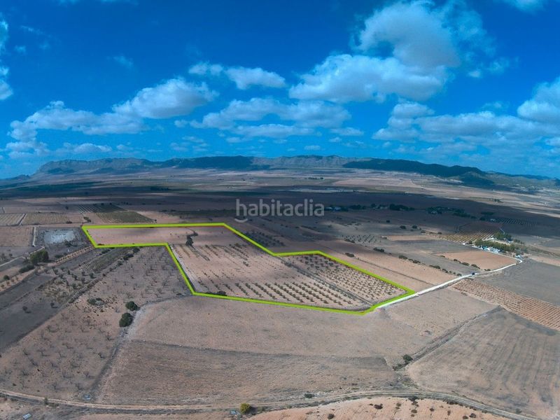 Foto 2ade1e37-6ad2-4143-9997-a4edb83f38cc. Finca rústica a Yecla
