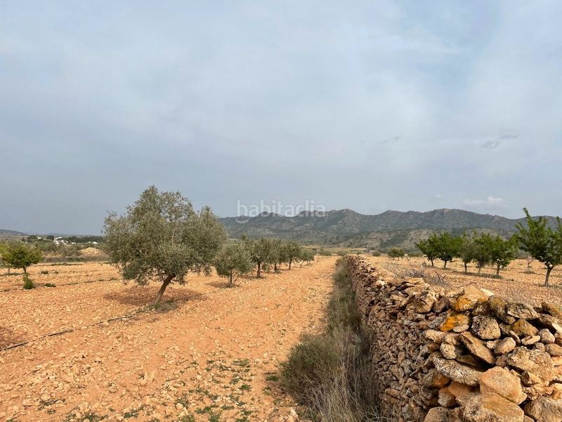 Foto 557998c9-da97-4fd3-92a0-6b0e85fa0e26. Finca rústica a Yecla