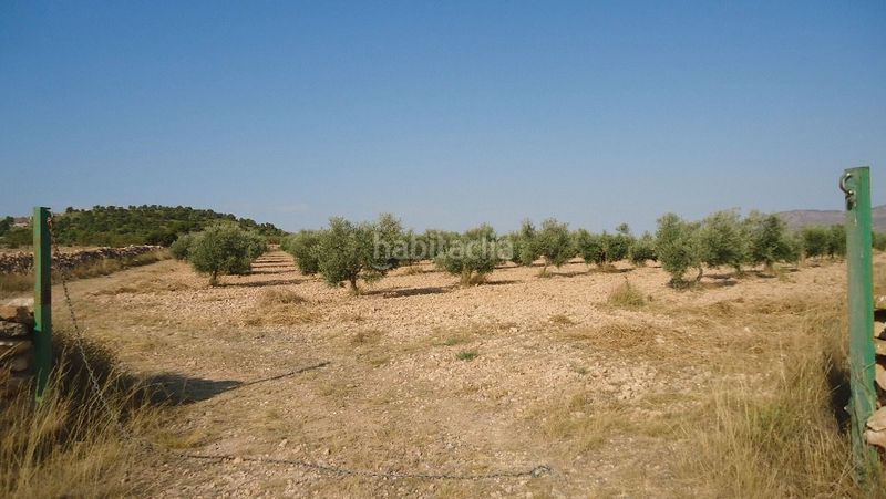 Foto 87ecd332-eec6-4749-b3d2-d99b19fe19a1. Finca rústica a Yecla