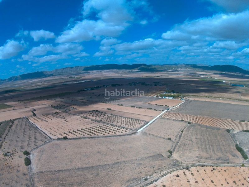 Foto 9d8a23a8-4df7-4be1-a680-3b4c1066be09. Finca rústica a Yecla