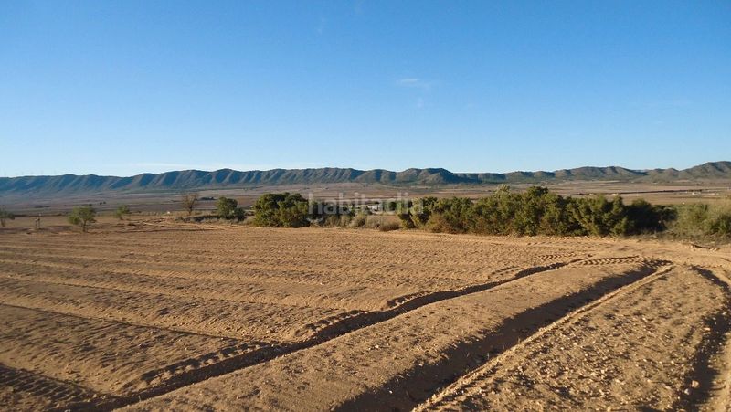 Foto bfcfe2c1-124d-415f-b807-14abe4920f37. Finca rústica a Yecla