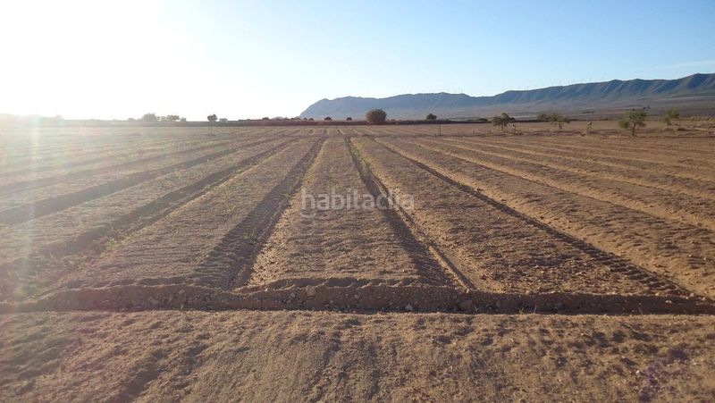 Foto d041cb66-28a6-4ff7-baf3-580102bb4e17. Finca rústica a Yecla