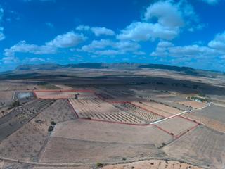 Rural plot in Yecla. Parcela urbanizable con agua 61.223 m2 paraje las gamellejas yec