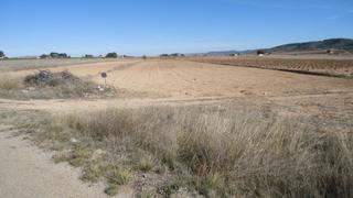 Rural plot in Yecla. Parcela 6.931 m con agua en yecla murcia