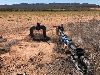 Finca rústica a Yecla. Parcela 25.704 m2 con agua en yecla murcia