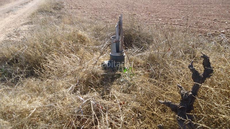 Foto 35b1ba00-1b02-4f39-8a2e-aa40f3ef6f8a. Rural plot in Yecla