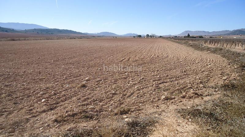 Foto 38e4a226-8106-4c20-a94c-8e979231c362. Rural plot in Yecla