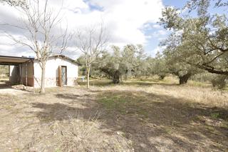 Maison  Jérica - pl poligono. Pura desconexión
