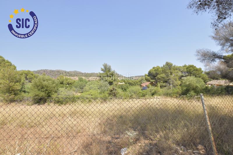 Foto 423b3585-ee47-4b4b-8196-3cb10b2a0e62. Terreny residencial a Albalat dels Tarongers