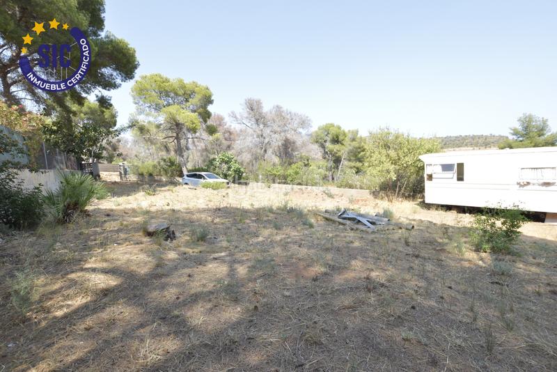 Foto 6adc4a42-fd9f-46f8-b135-9fbd2c0ebd9c. Terreny residencial a Albalat dels Tarongers