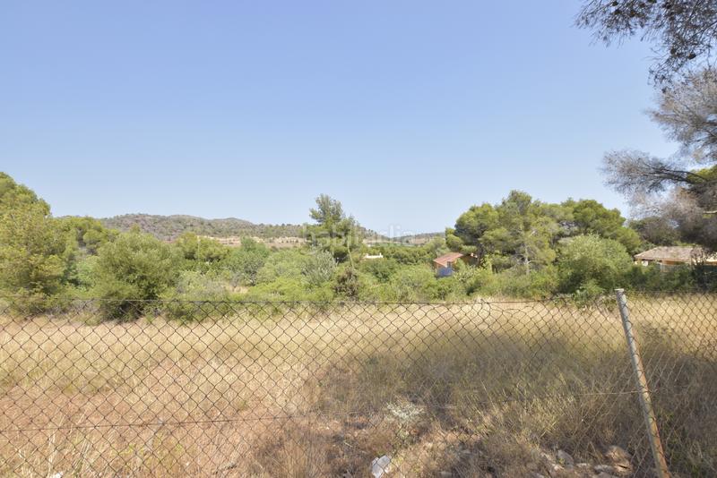 Foto 8d5e1d45-ee14-4818-8e6b-89018e31017c. Terreno residencial desconexión en estado puro! en Albalat dels Tarongers