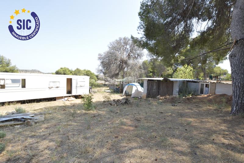 Foto b70f8e4e-36e7-4c65-a1c8-c5ad3a661fa6. Terreny residencial a Albalat dels Tarongers