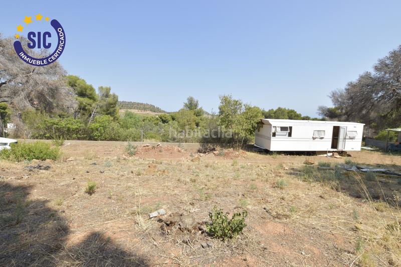 Foto b902f990-e0b6-45c0-bbc4-c0f8dbeae5ea. Terreny residencial a Albalat dels Tarongers