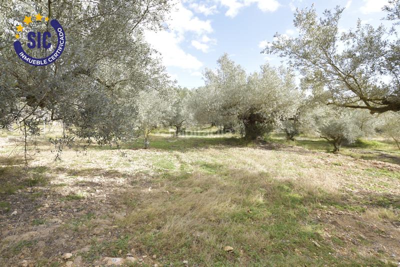 Foto 308326f7-0d86-4bc4-a505-ebfbc572d275. Terrain résidentiel dans Jérica