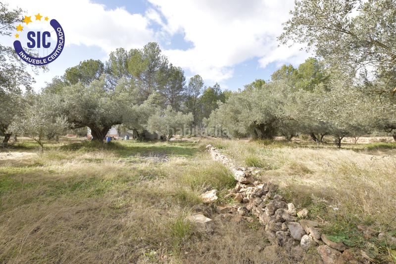 Foto 6b4fdc18-daa6-4f93-a3b1-68a2cc9de33e. Terrain résidentiel dans Jérica