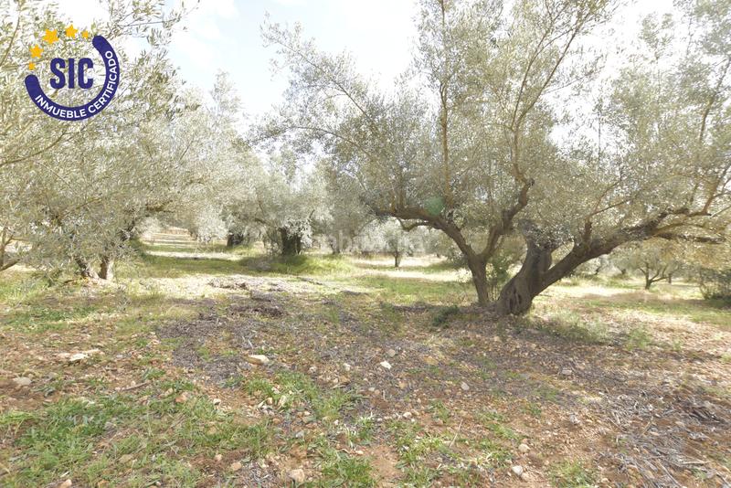 Foto 6c58cb1e-59e9-40ca-8b8a-0a65d6b94b7b. Terrain résidentiel dans Jérica