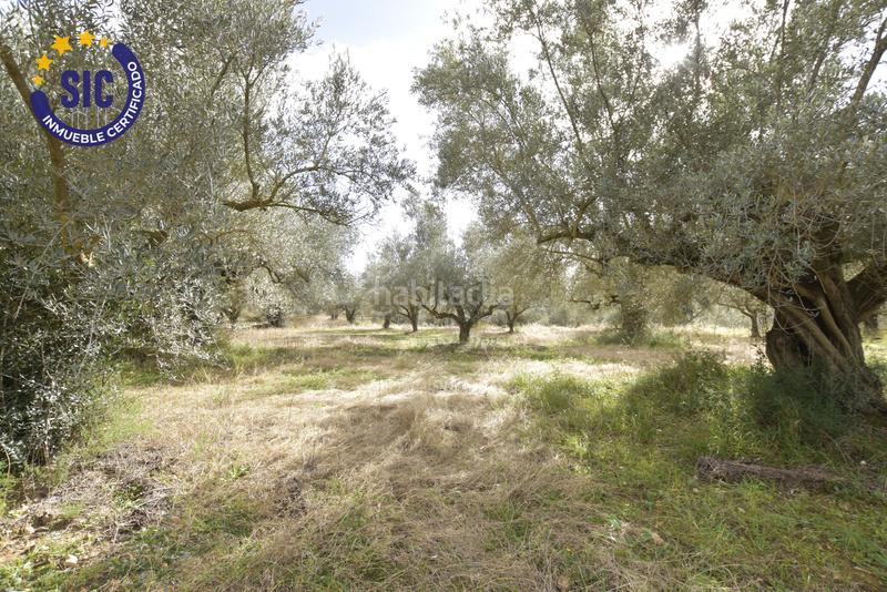 Foto 84b41f53-d4ee-4fb9-9484-cfcfbec76a4d. Terrain résidentiel dans Jérica