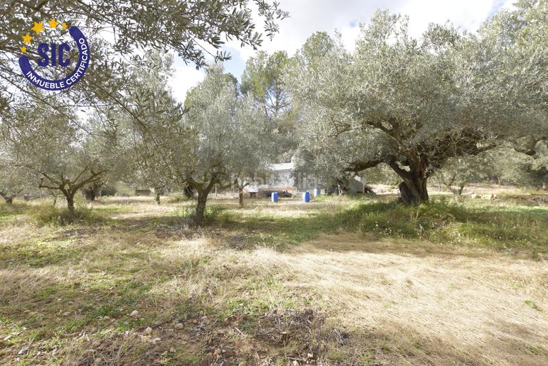 Foto 92dd5b9b-837c-4902-a6ea-bfeae97983f7. Terrain résidentiel dans Jérica