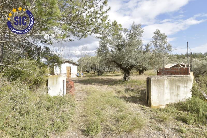 Foto 9805bd37-091a-46ed-8e6d-99215fc4ad8b. Terrain résidentiel dans Jérica