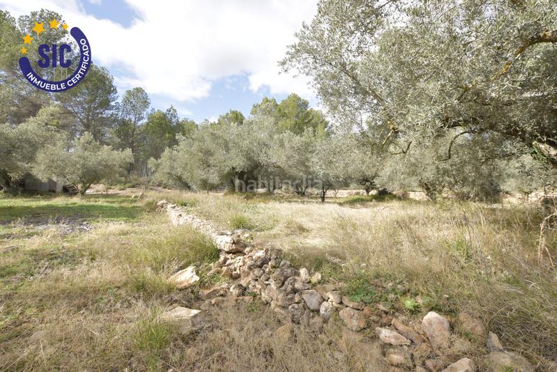 Foto 9c9e820f-6409-4692-90e6-6df8ea3dbd4c. Terrain résidentiel dans Jérica