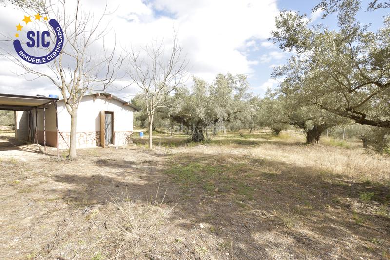 Foto d0b156e1-b829-4919-9b49-1185940fcaba. Terrain résidentiel dans Jérica