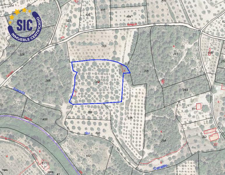 Foto d0d7187b-2d1c-4218-b40e-298ea049fb01. Terrain résidentiel dans Jérica