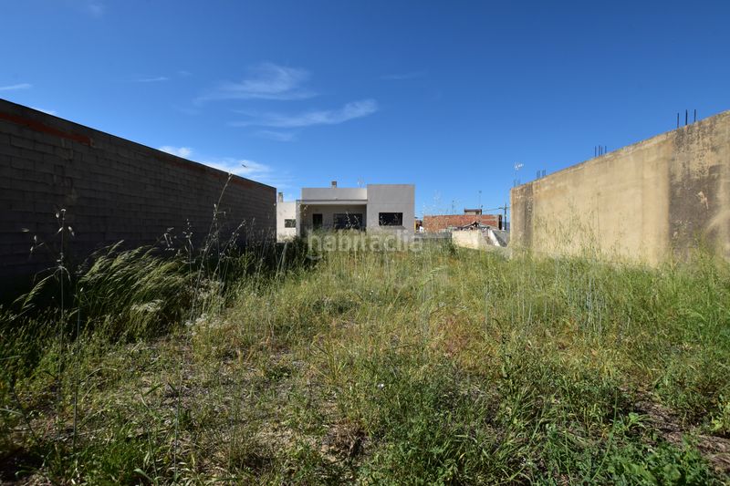 Foto d8ab99b8-ad19-4926-863a-c77ee15c42fa. Finca rústica a Riba - roja de Túria