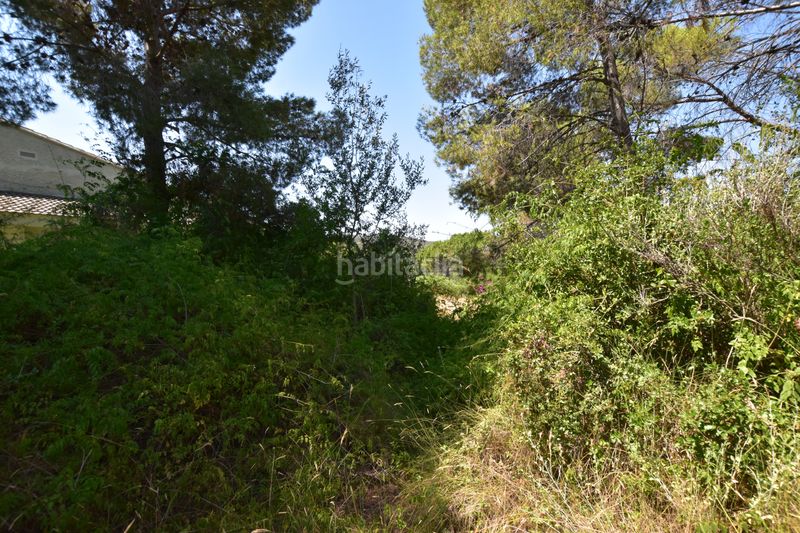 Foto 1be30715-851a-4d5a-a01f-c9e31838d41a. Finca rústica a Picassent
