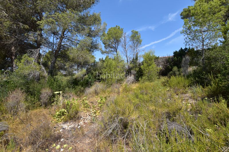 Foto 4dfc103d-7dd5-420a-b698-a4ab16f596cc. Finca rústica a Picassent