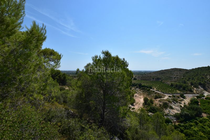 Foto add1d903-af78-4f7a-8e54-898bfb934798. Finca rústica a Picassent