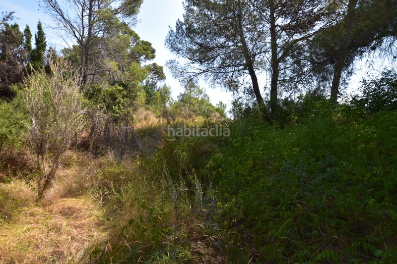 Foto b3d3c7da-8e0e-4c86-9b4e-9ba74e606429. Finca rústica a Picassent