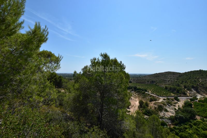 Foto cadc0a28-80e0-4500-bc7d-4a82553b8e54. Finca rústica a Picassent