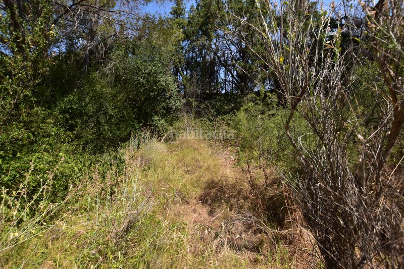 Foto f3db8217-fbd9-450e-b72d-ad9cb1228ae2. Finca rústica a Picassent