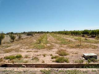 Terreny residencial a Parcela 111 111. Venta de 18 parcelas rusticas en quartell