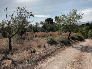 Finca rústica a Les alqueries 7 6. Venta de finca rustica