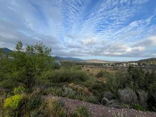 Rural plot in 4. Finca rústica en paraje de pi baseca, polígono 4 parcelas 89, 90