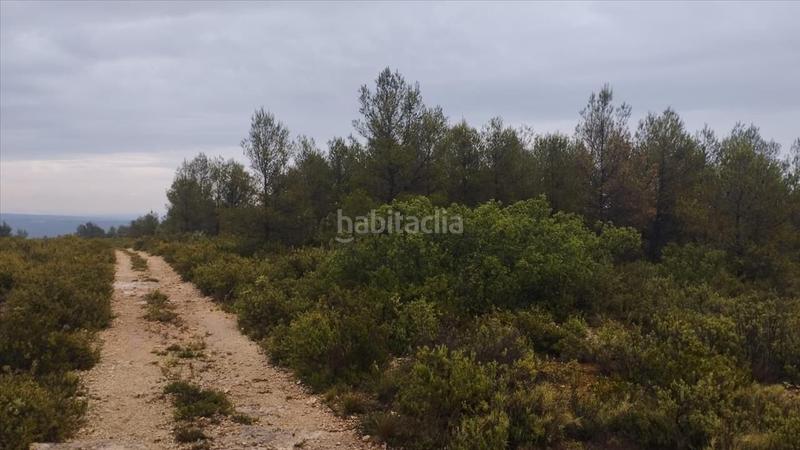 Foto 0bd7e610-36d7-4e18-a975-ac2233c350b5. Terreno residencial en cumbres valencia 2 suelo urbanizable en Moixent