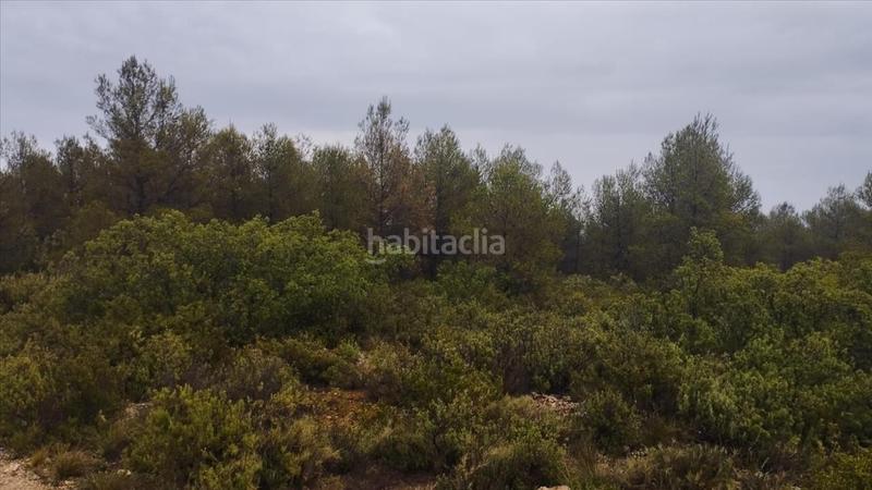 Foto 2ee5ee5b-5443-4938-98e0-f9eda397bf76. Terreno residencial en cumbres valencia 2 suelo urbanizable en Moixent