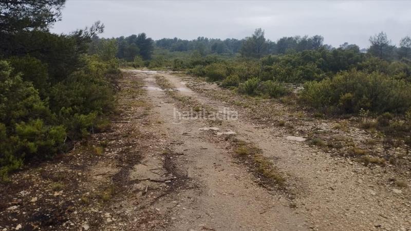 Foto 301ddc9b-bdab-45ac-bf7b-e60425d6c23d. Terreno residencial en cumbres valencia 2 suelo urbanizable en Moixent