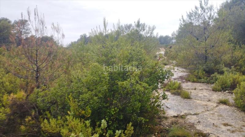 Foto c07db3a8-8698-43dd-8918-310e708069a6. Terreno residencial en cumbres valencia 2 suelo urbanizable en Moixent