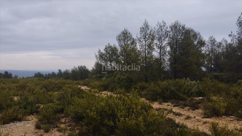 Foto eac4502b-9570-4f71-a904-9cb61110dadf. Terreno residencial en cumbres valencia 2 suelo urbanizable en Moixent
