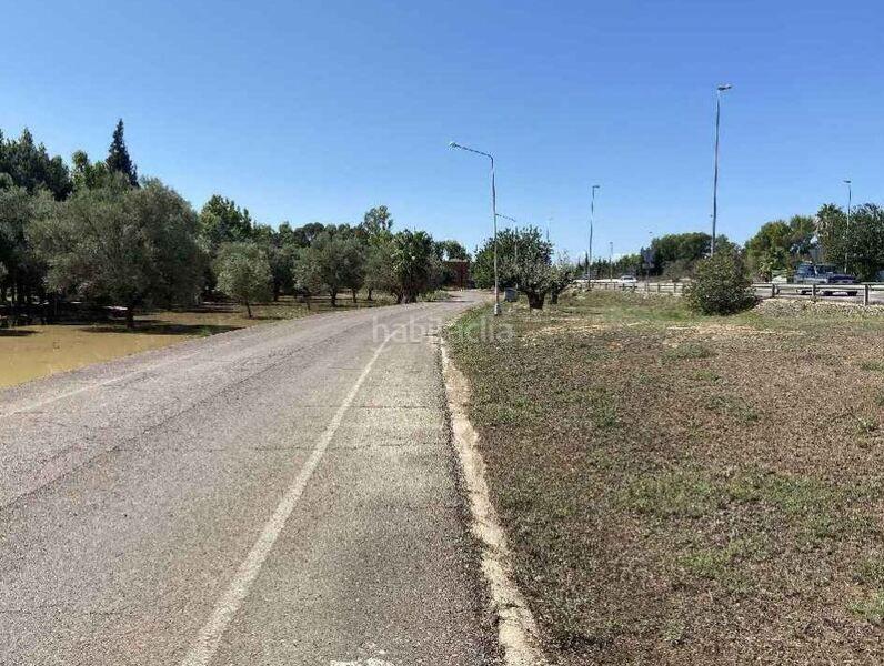 Foto b45cddba-5ba8-49d9-ad4d-fbb3c99bc111. Terreno residencial en prat 38 solar en el prat lliria en Llíria