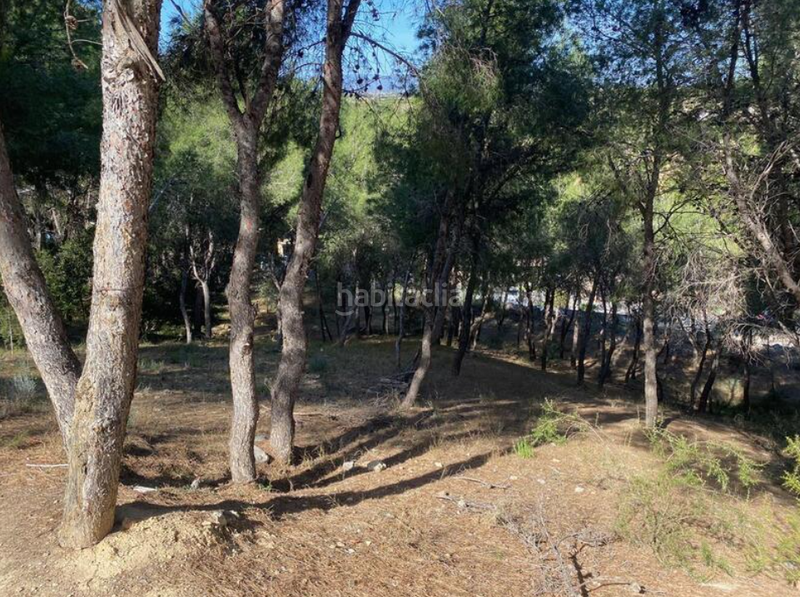 Foto 4bd22639-aac6-4d4e-885d-840844f1e3b1. Terreno residencial en bosque u12 suelo urbano residencial en la urbanización El Bosque, en Chiva