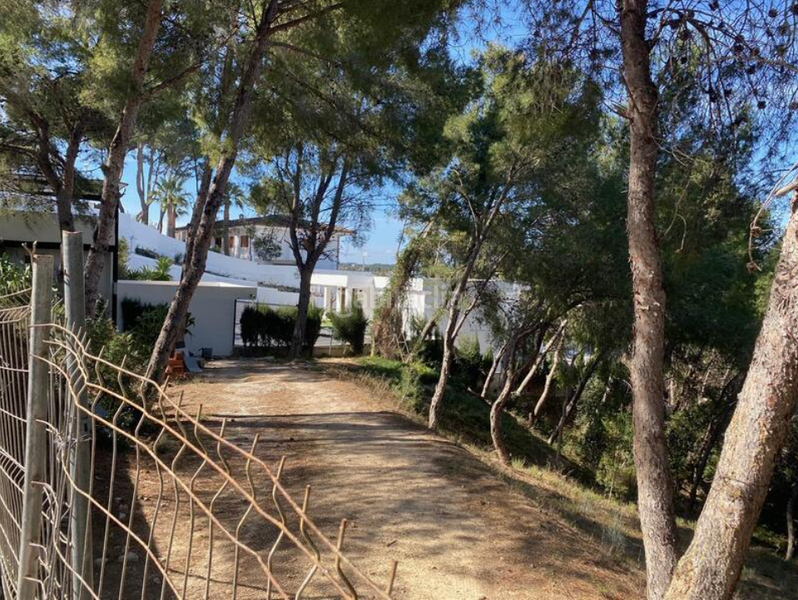 Foto c7893365-c7cf-4f84-8e0f-fd80a3081be6. Terreno residencial en bosque u12 suelo urbano residencial en la urbanización El Bosque, en Chiva