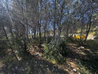 Residential Plot in La Alberca