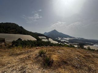 Terreny residencial a Callosa d´en Sarrià